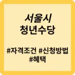 서울시 청년수당 신청방법 기간 자격 가이드